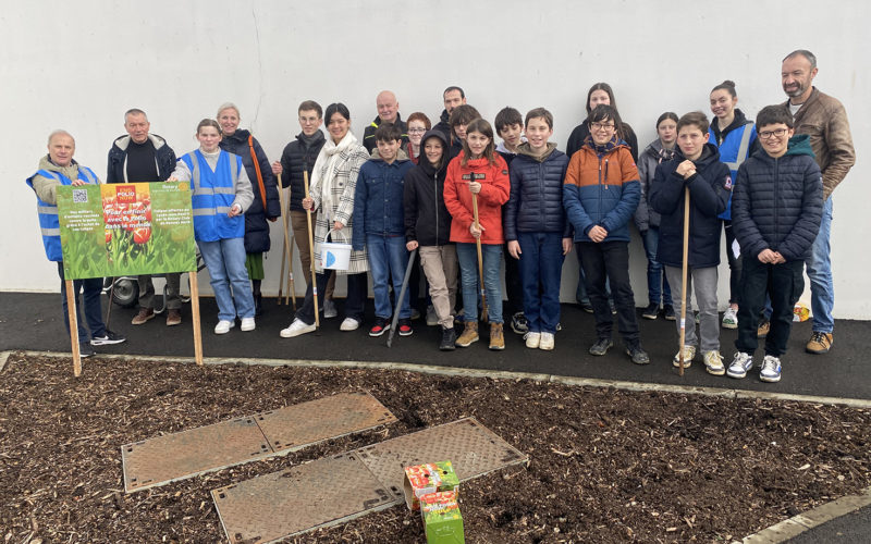 Les éco-délégués du Groupe Saint Jean et membres du Rotary Club Rennes-Nord plantant des tulipes pour soutenir la lutte contre la poliomyélite dans le cadre du programme End Polio Now.